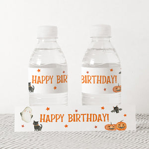 Spooky Birthday Party Water Bottle Label - EDIT YOURSELF